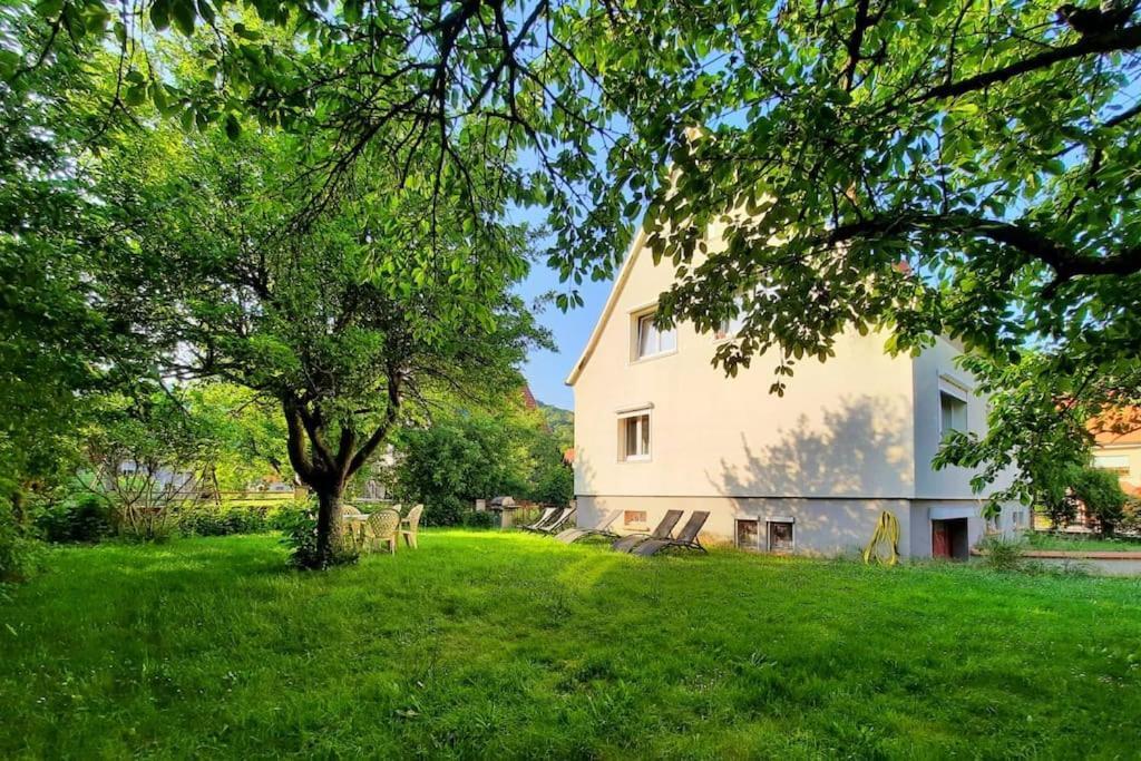 Rooms 4 Persons Kaysersberg Eksteriør billede
